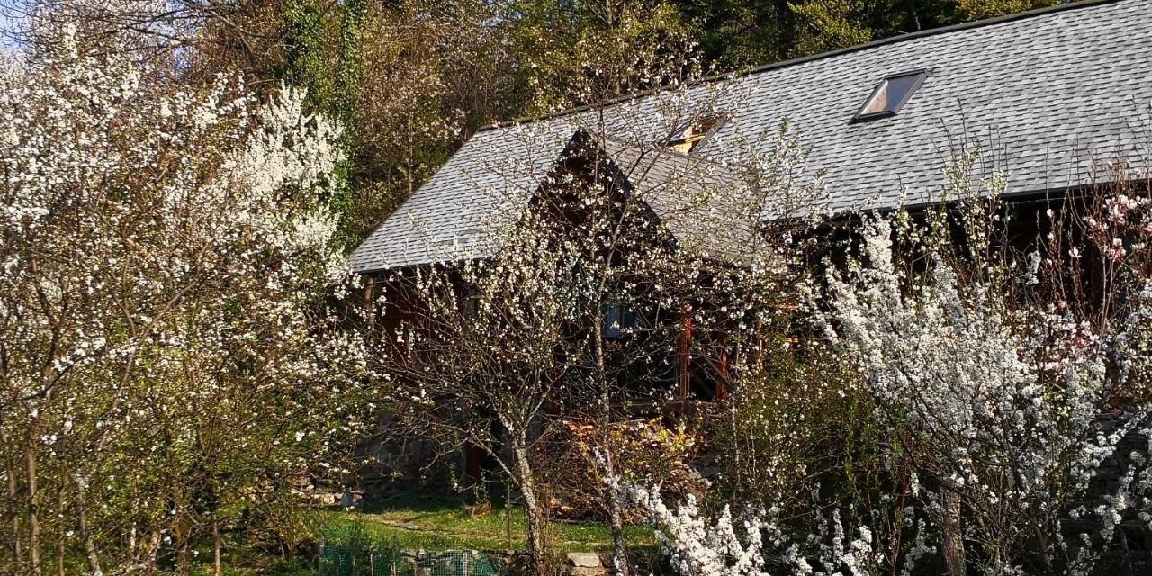 Caputówka 100 letnia chata Rajcza Zewnętrze zdjęcie